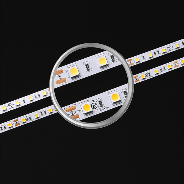 Striscia LED flessibile SMD5050
